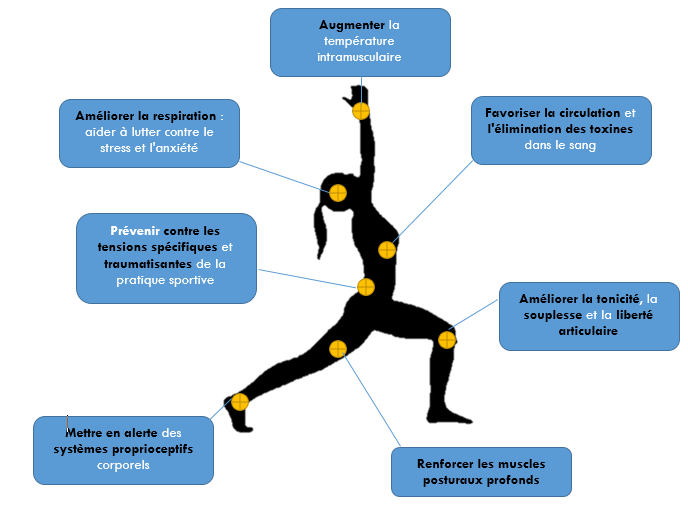 Stretching postural®